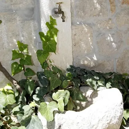 Stone Lavandula Hébergement de vacances *