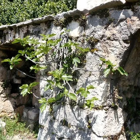 Stone Lavandula * Baška Voda