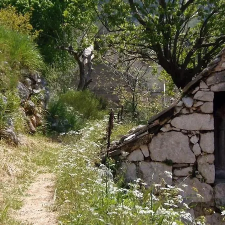 Hébergement de vacances Stone Lavandula *